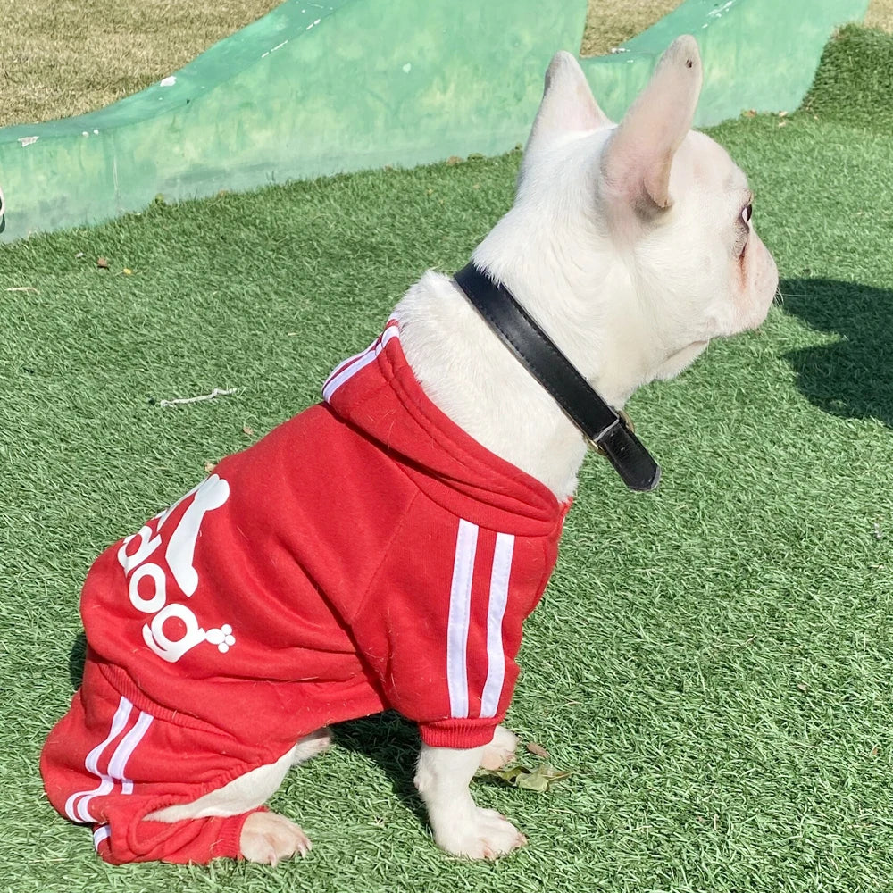 Spring/Autumn Sports Tracksuit for Dogs